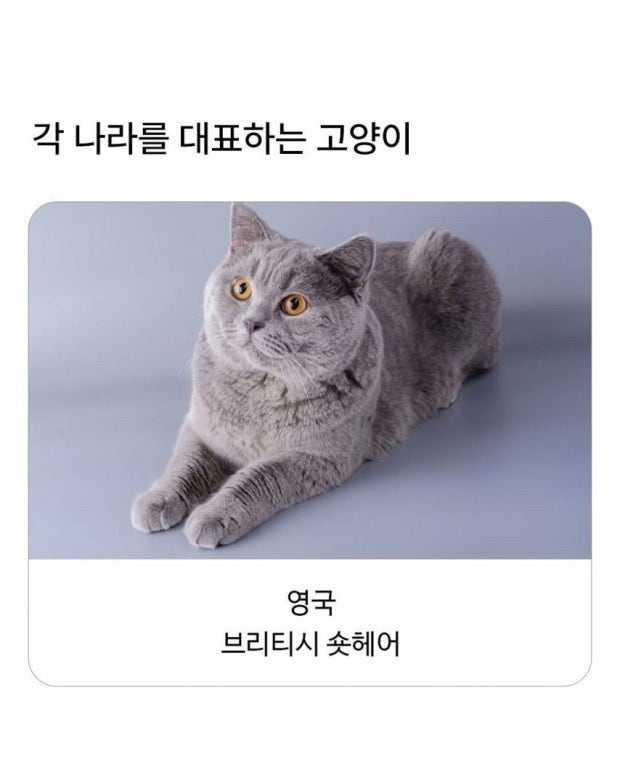 69ff115ba4d02.JPG