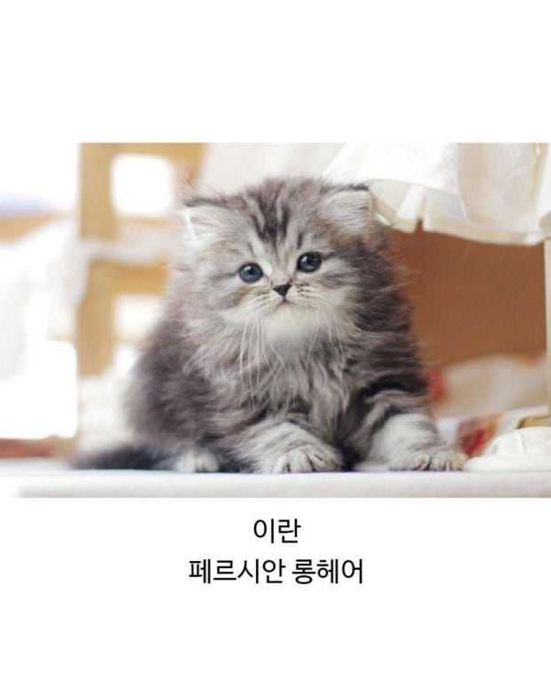 69ff115bb7cd4.JPG