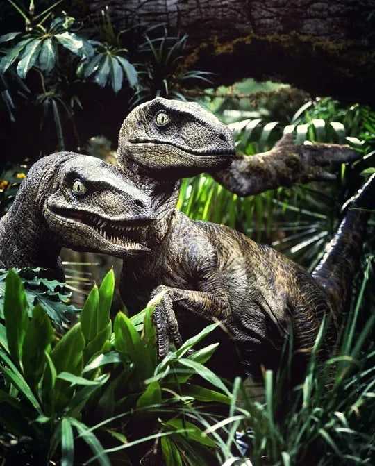 6a2b035d828d2.jpg