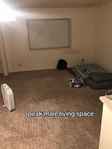 6a37cff2a1411.jpeg