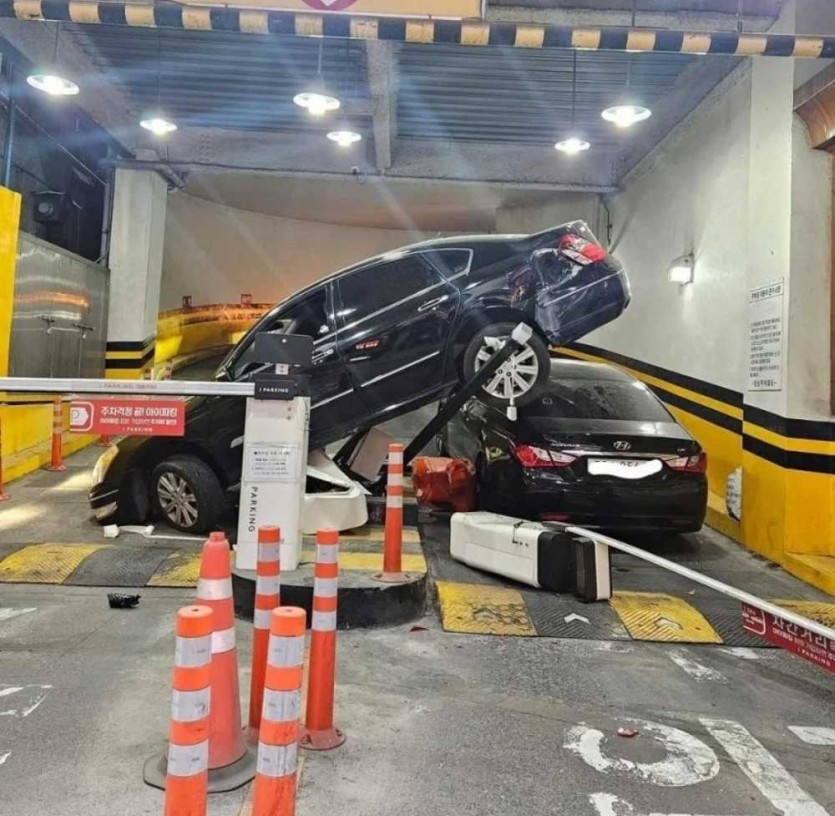 69fbfde053611.jpg