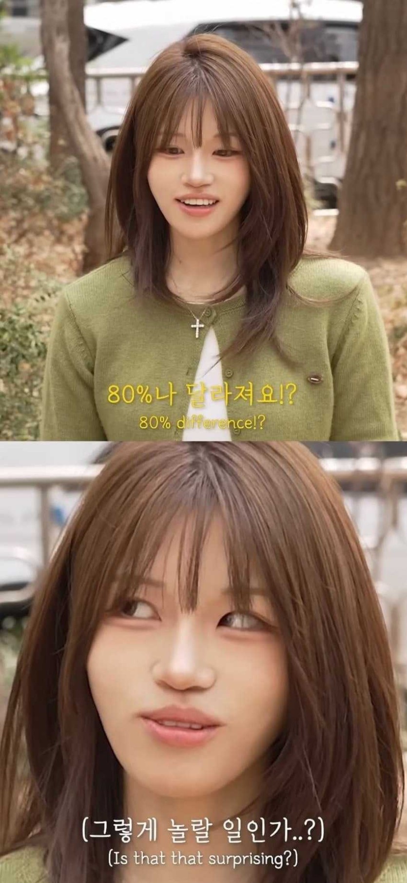 69fbfde5f007b.jpeg