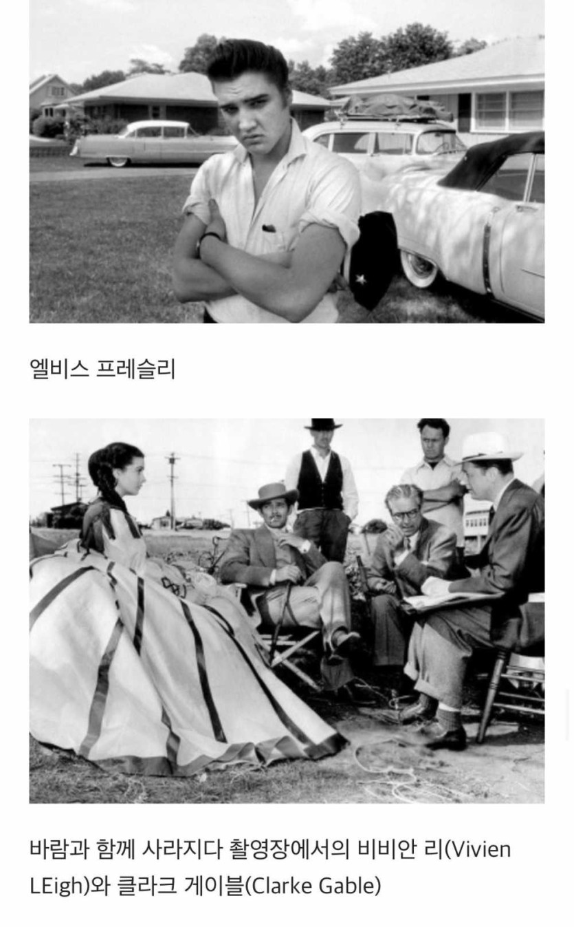 69ff499de81a6.jpg