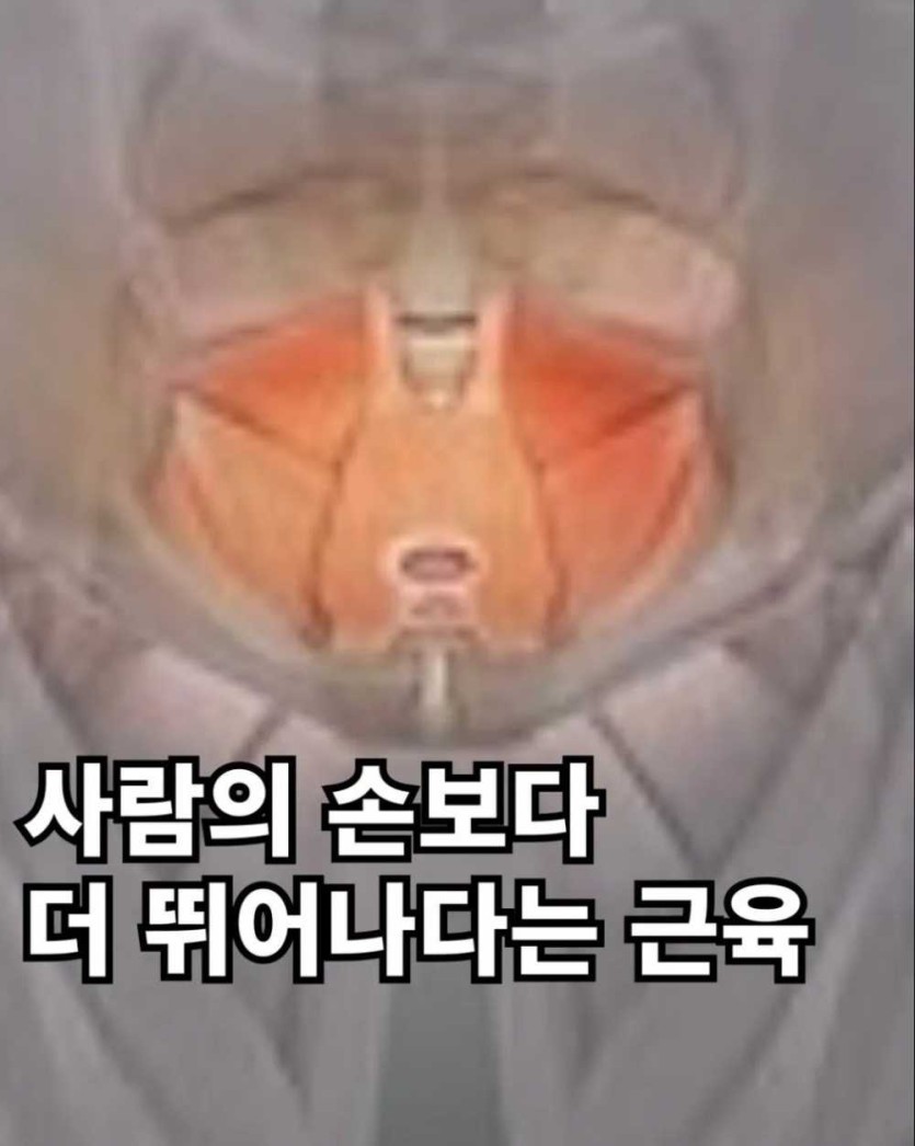 6a098144a3d41.jpg
