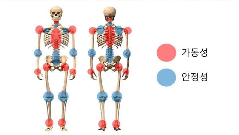 6a0e64cdb678b.png