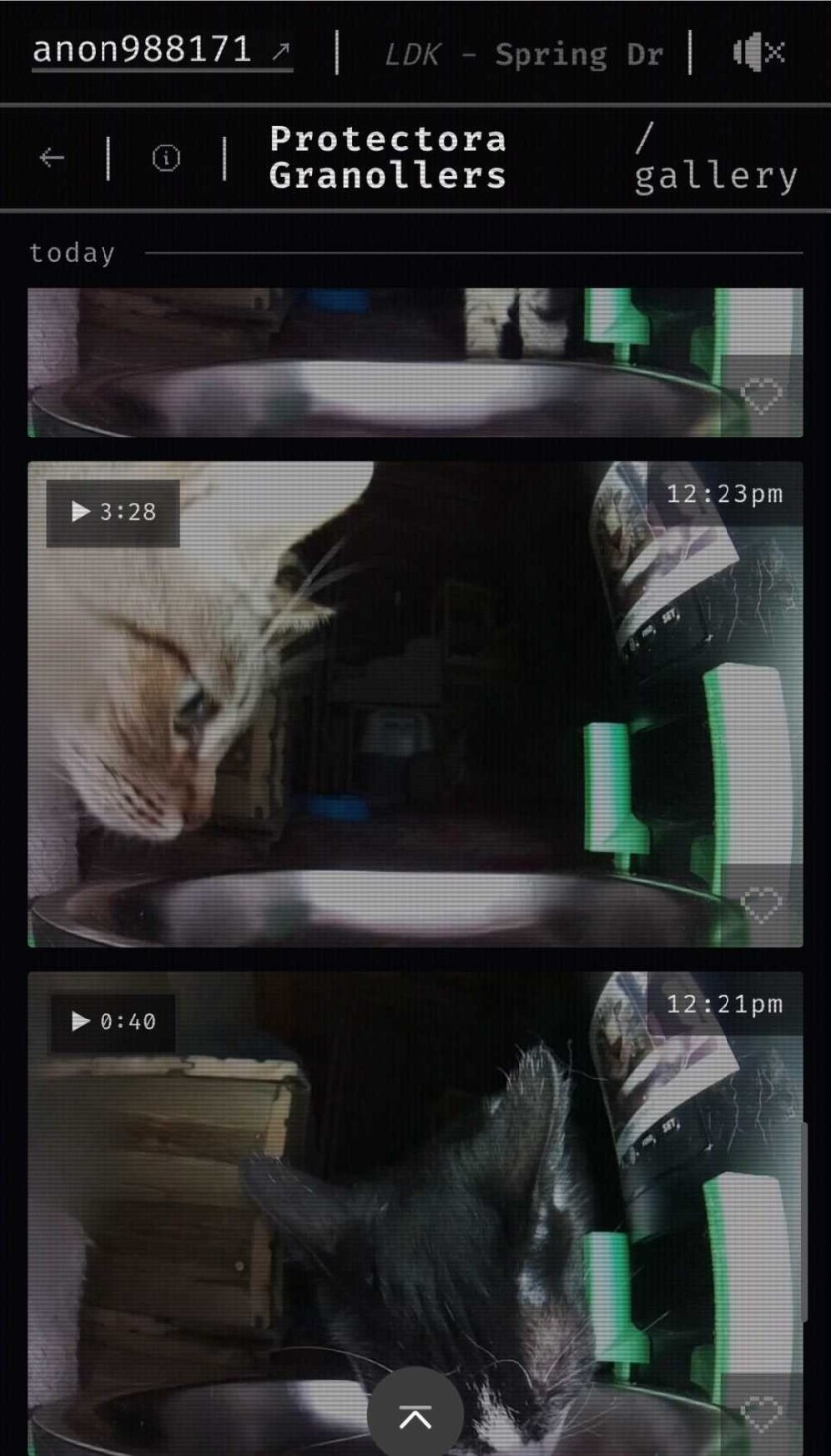 6a0ffc9da7215.jpg