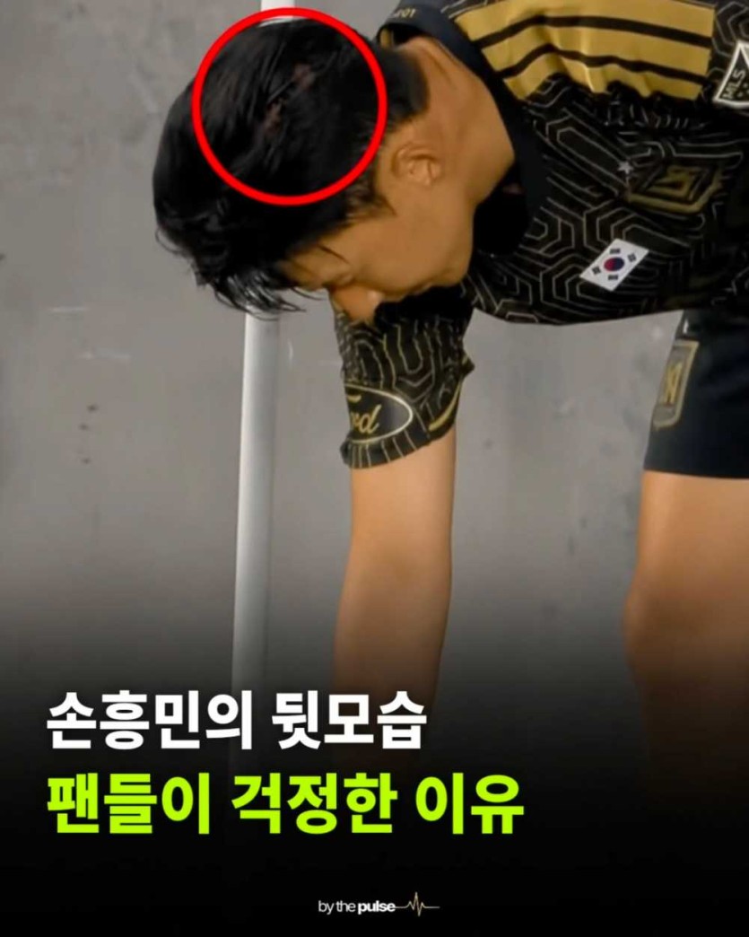 6a14619df3e0a.png