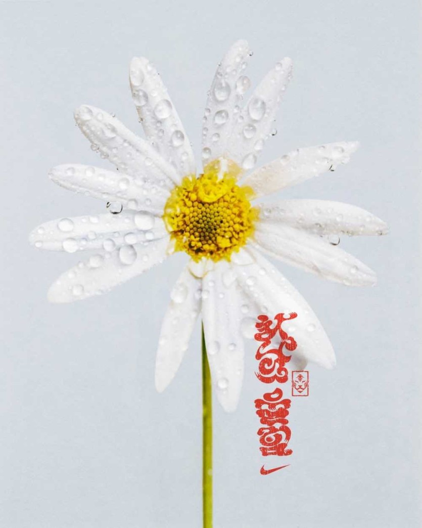 6a17c97e68725.jpg