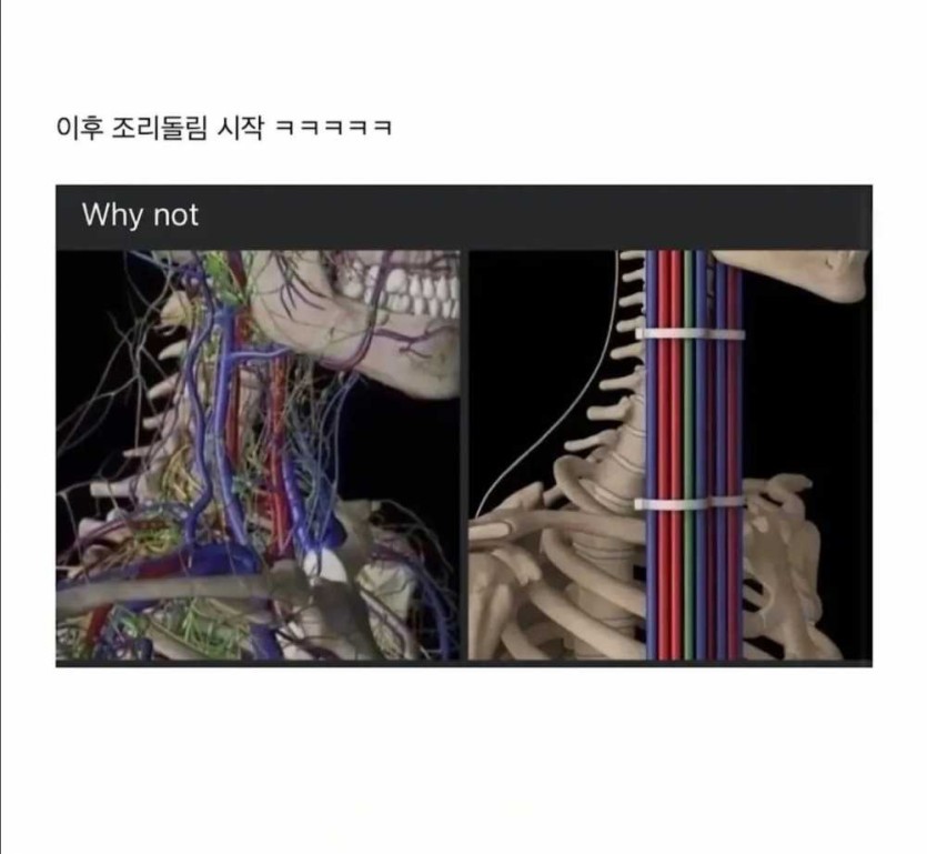 6a1e0ca891d78.jpg