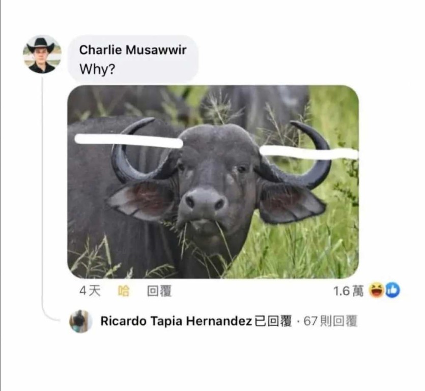 6a1e0ca8ad393.jpg