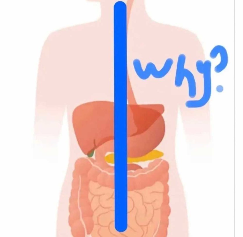 6a1e0ca8b7bef.jpg