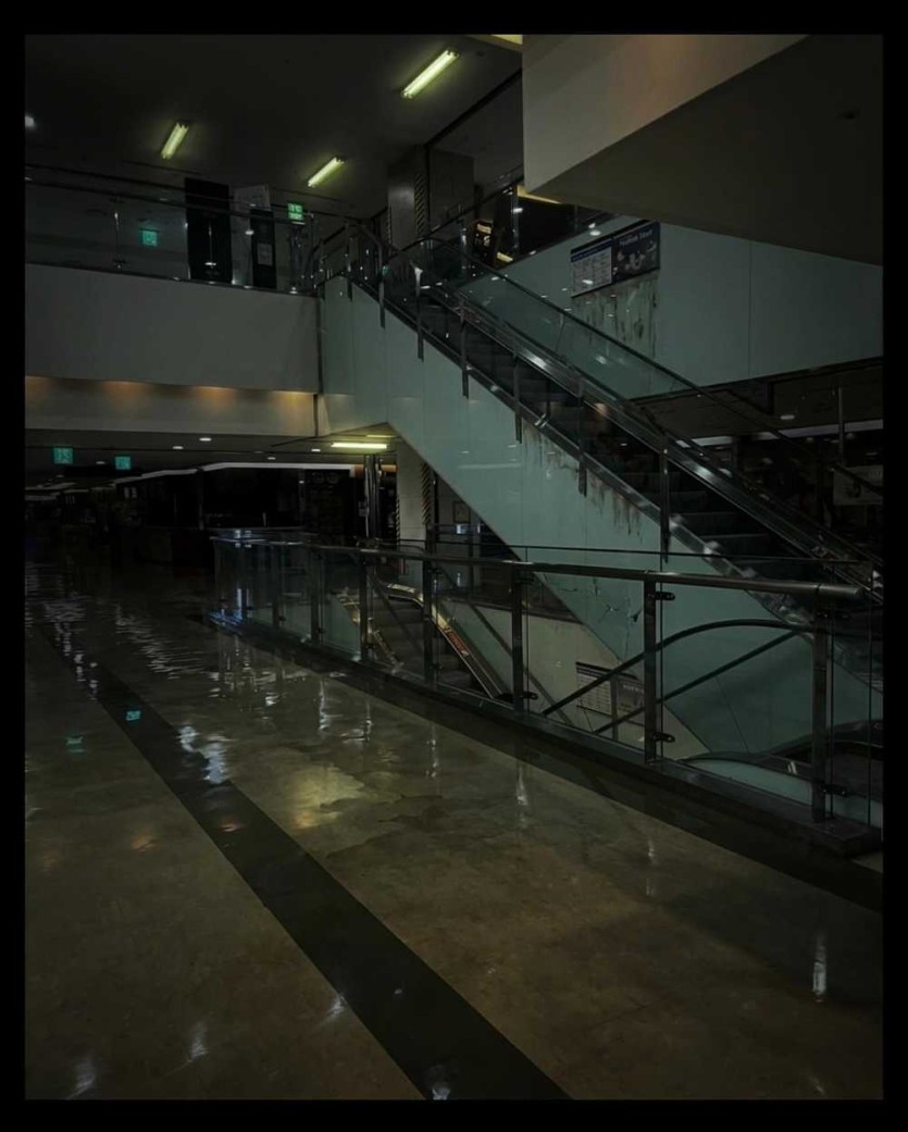 6a2006e462625.jpeg