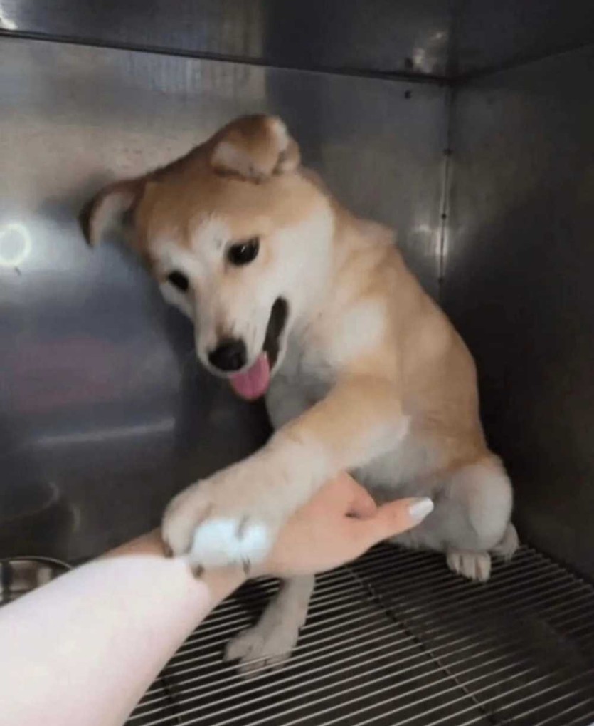 6a32b42461de7.jpeg