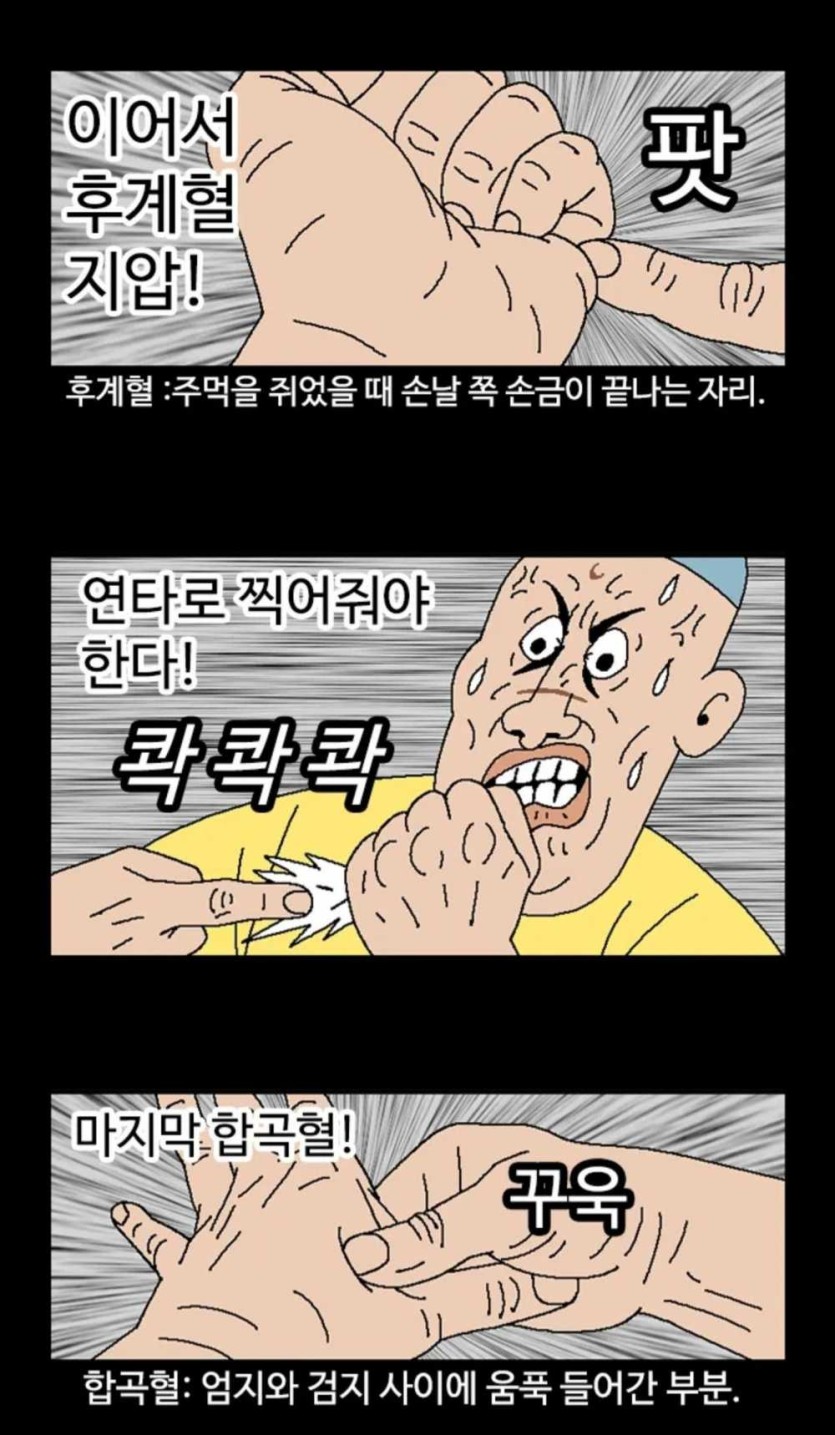 6a37515e172b6.jpg