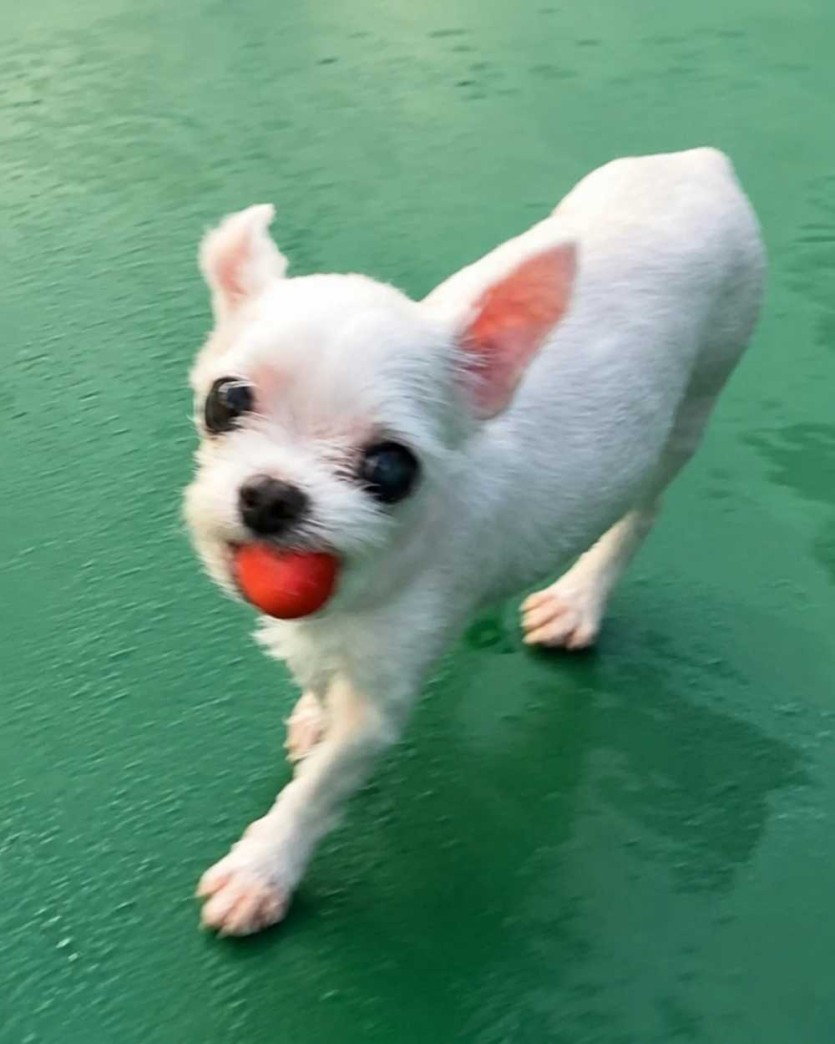 6a408be506264.jpg