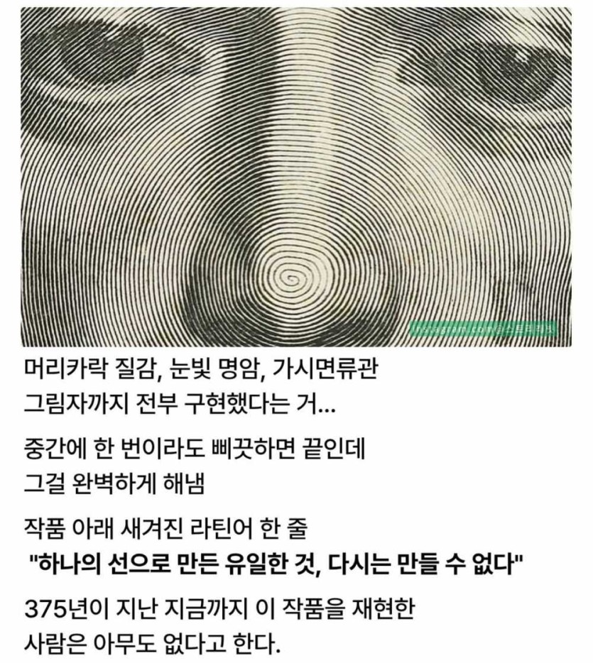 6a47cc26e813b.jpg