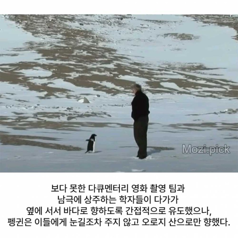 6a48ad1f03828.png