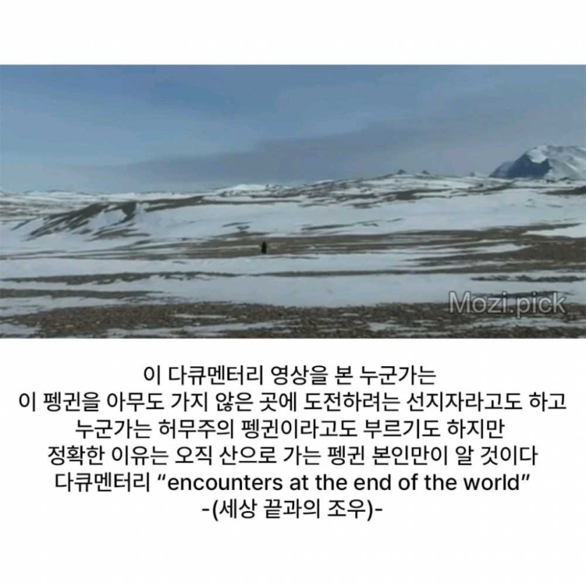 6a48ad1f1e770.png