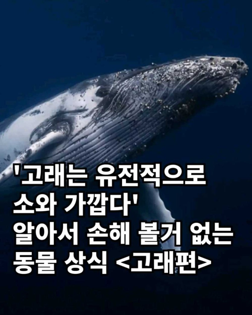 6a490f9448cc9.png
