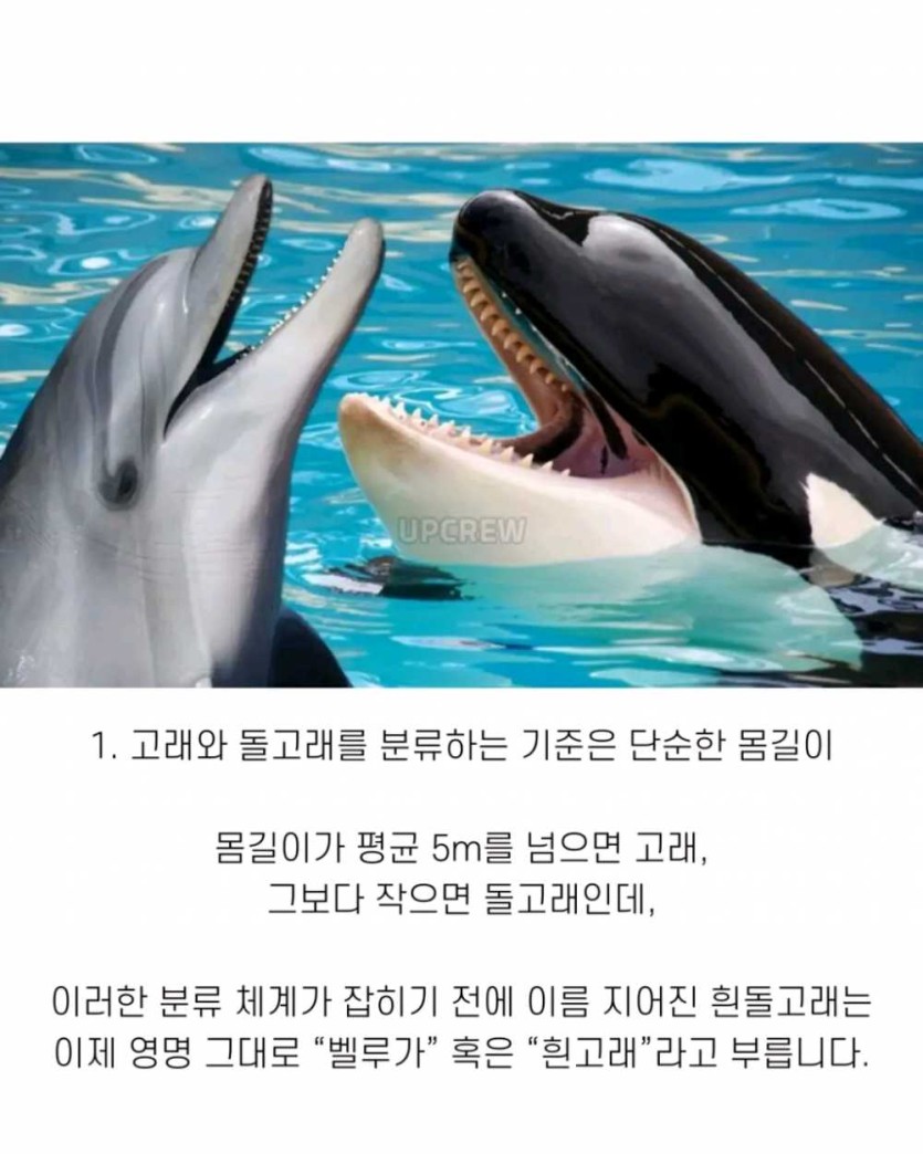 6a490f944e3dc.png