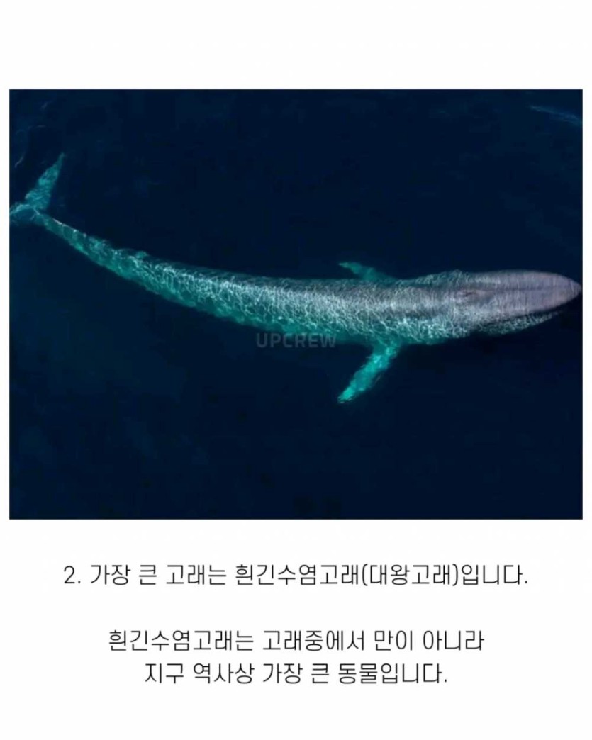 6a490f94545b1.png