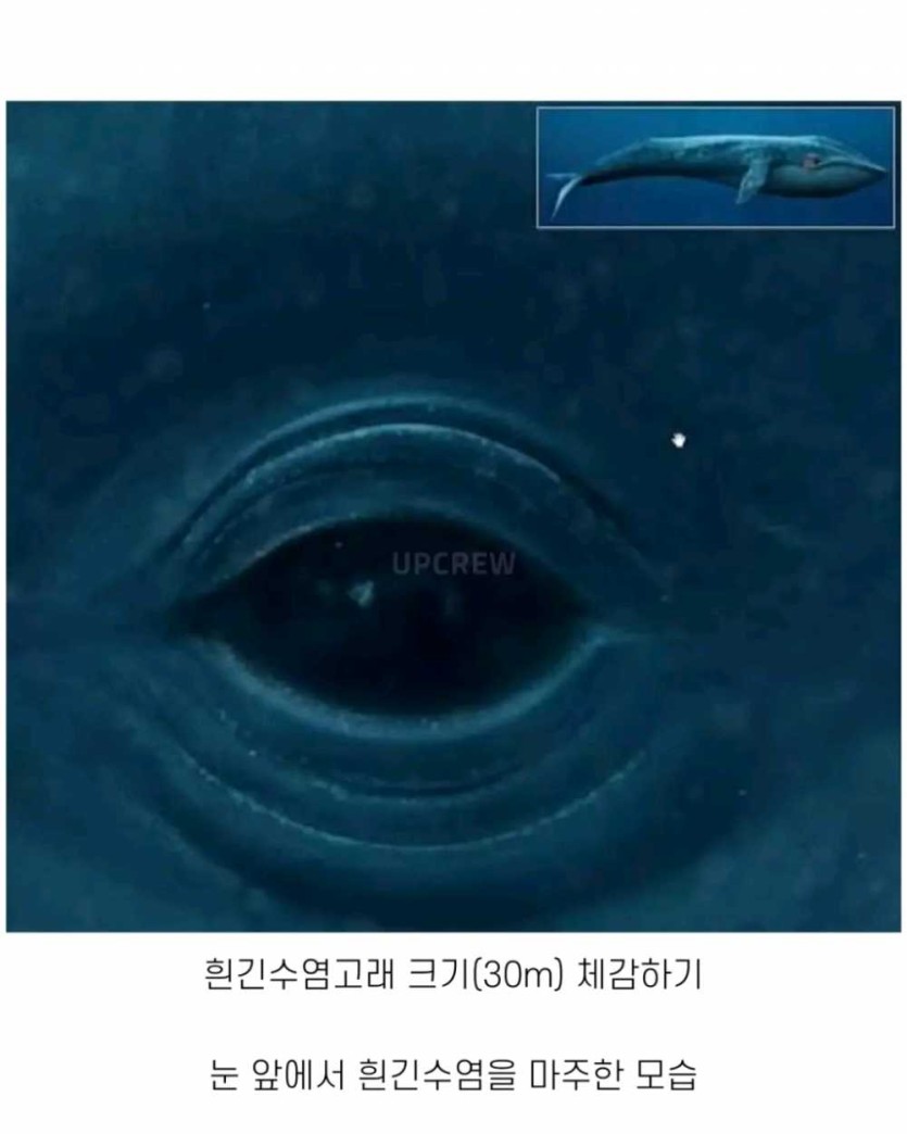 6a490f9459dda.png