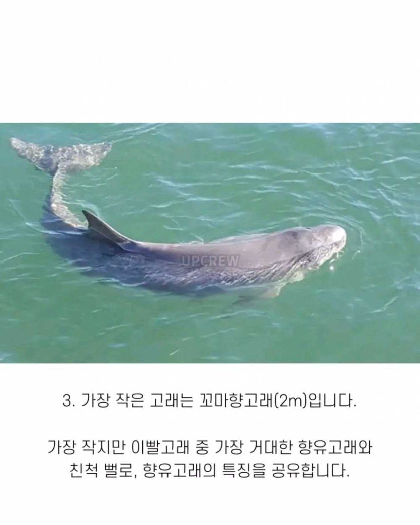 6a490f945f66e.png