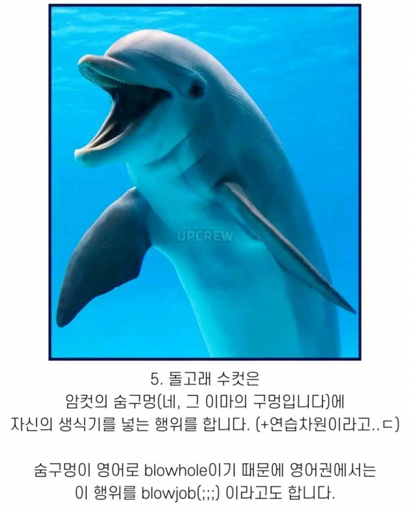 6a490f946c7aa.png