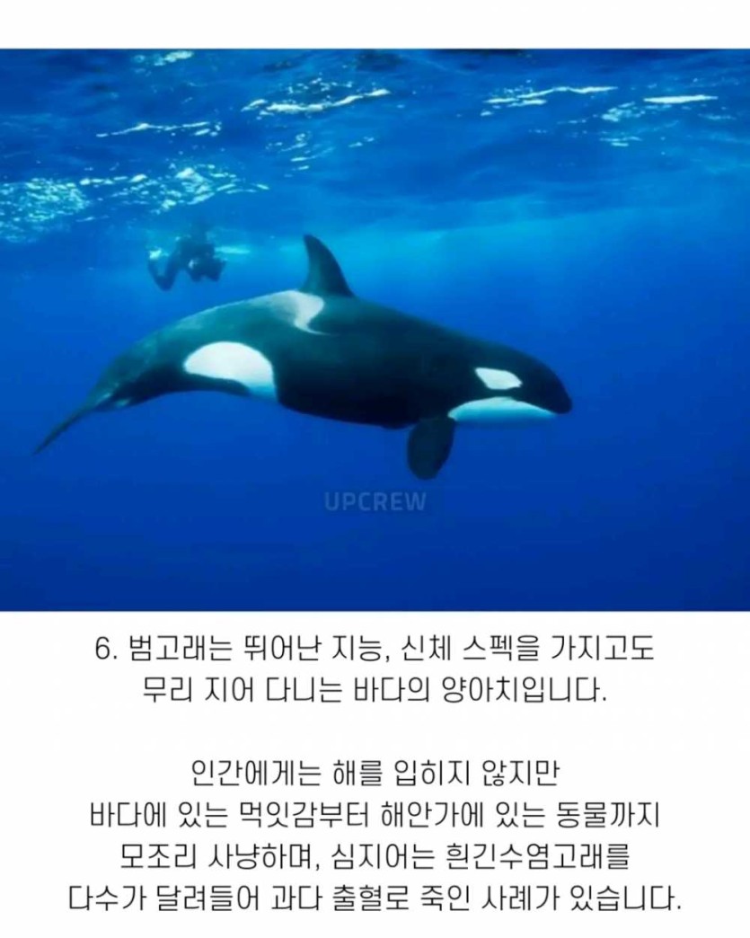 6a490f9471168.png