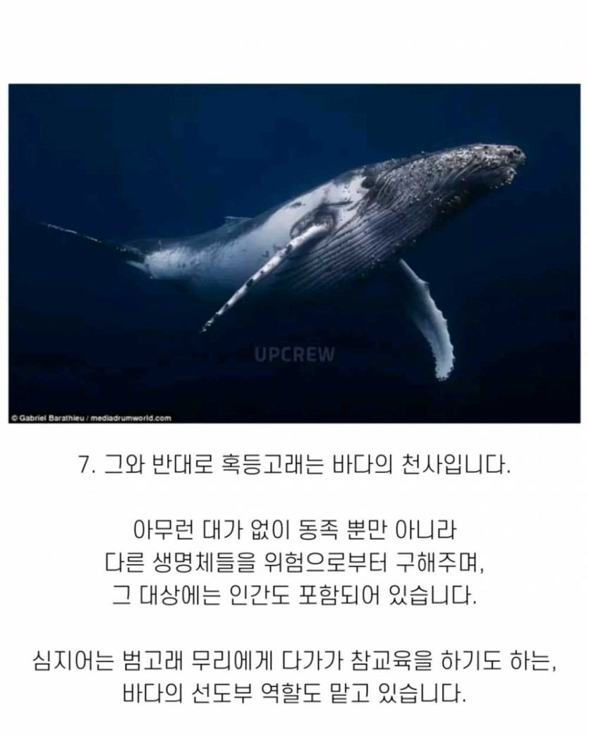 6a490f9477294.png