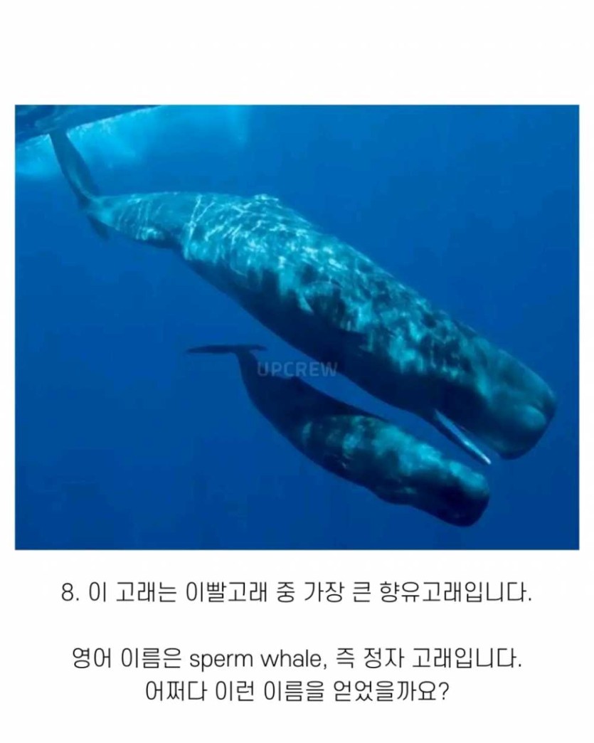 6a490f9481fe4.png