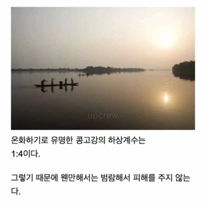 6a4bdcc5b4194.jpg